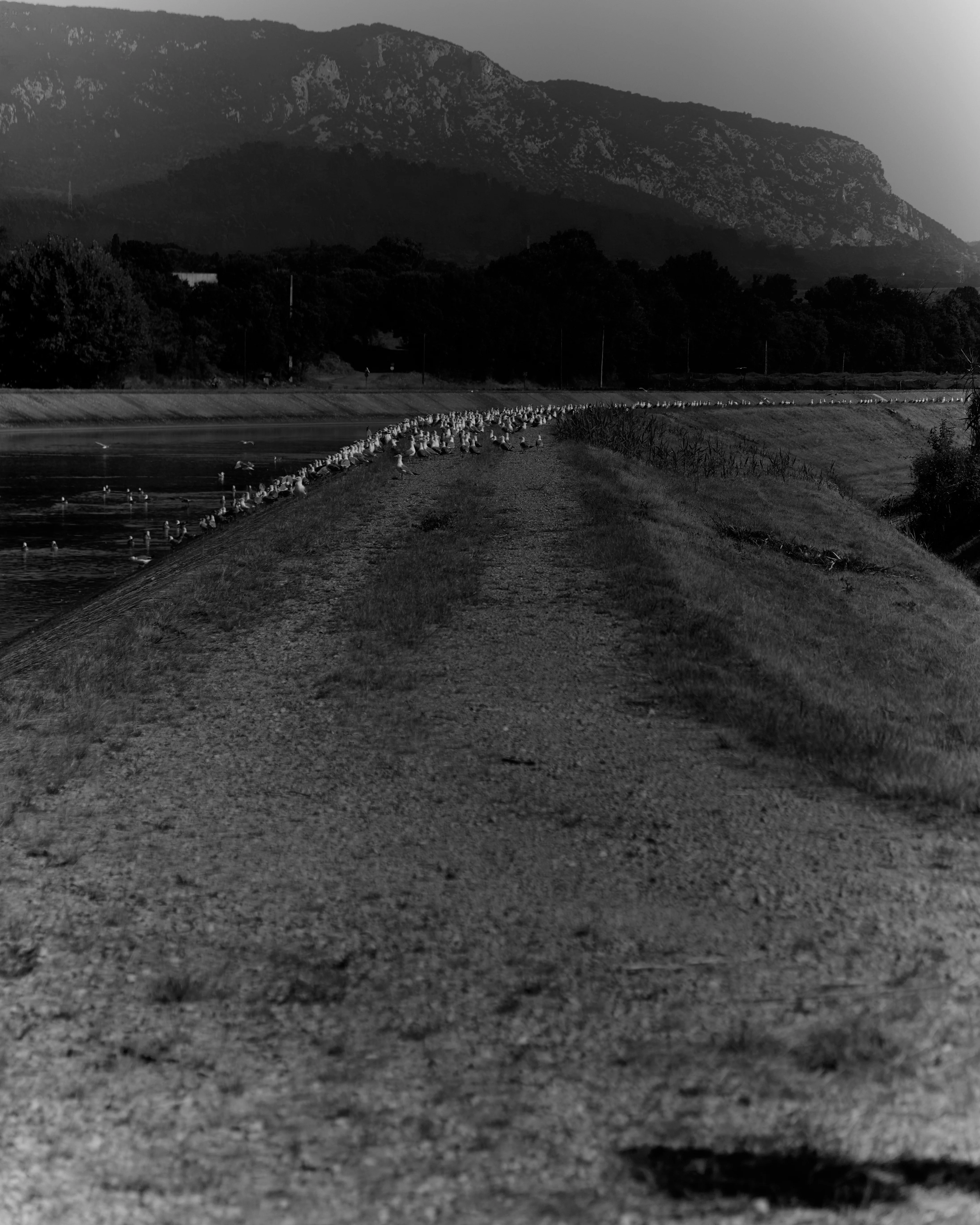 MAGAZINE ISSUE 01 - Image 4